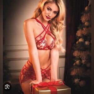 Honey Birdette Finoulla Red - RARE 🔥 36DD Bra Garter Breif - 2016 💘 Valentine